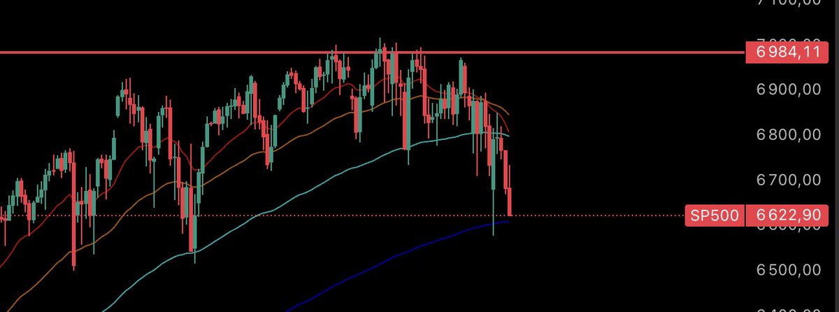 Sol.eil 🌞 tweet media