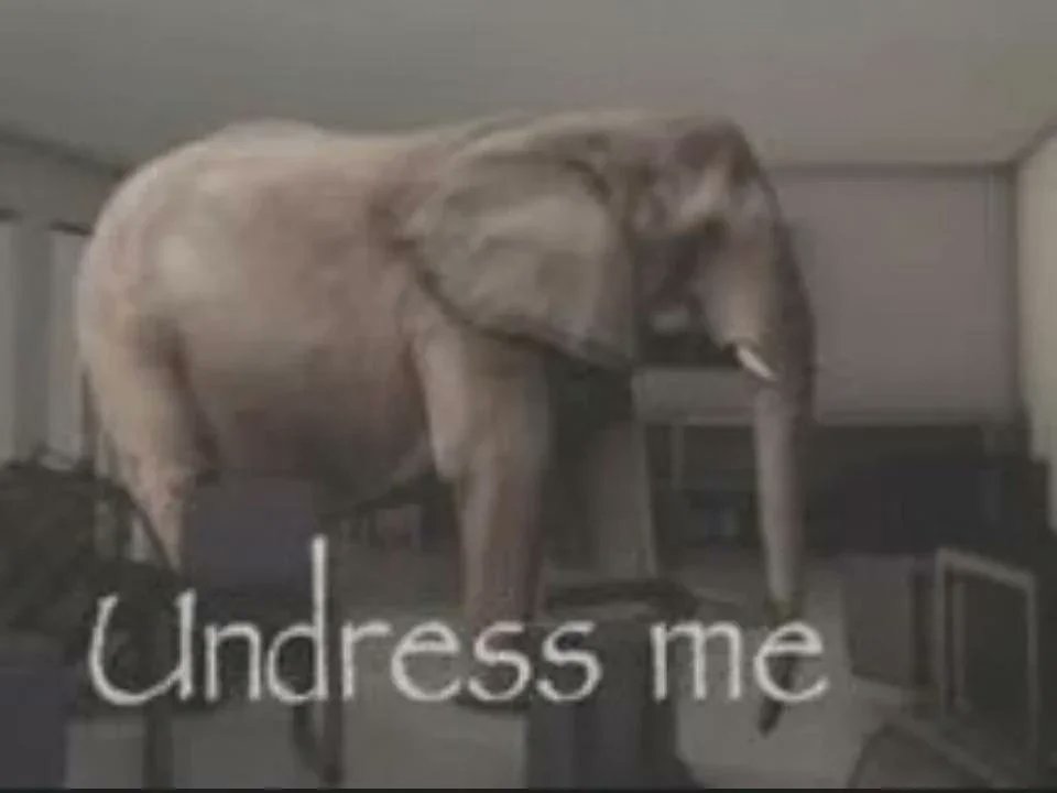 toasted_bowser tweet media