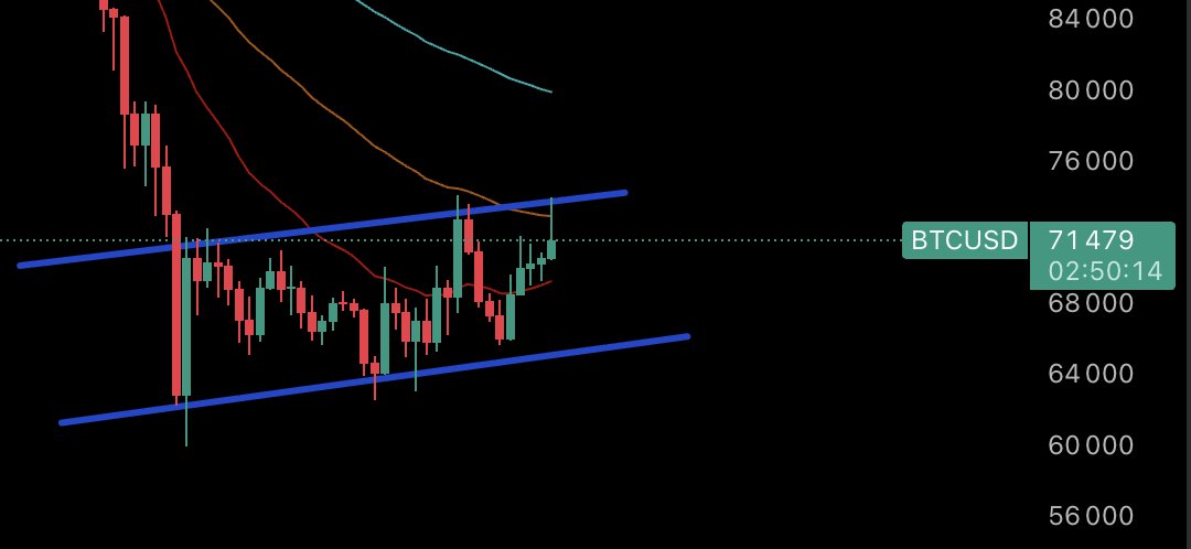 Sol.eil 🌞 tweet media