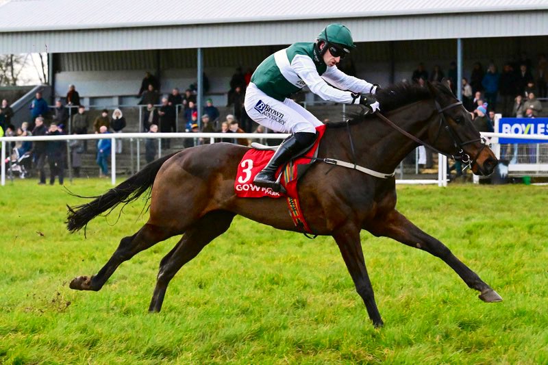 Weatherbys Limited tweet media