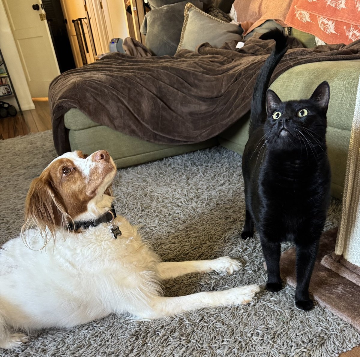 Riley 🌹 Rose tweet media