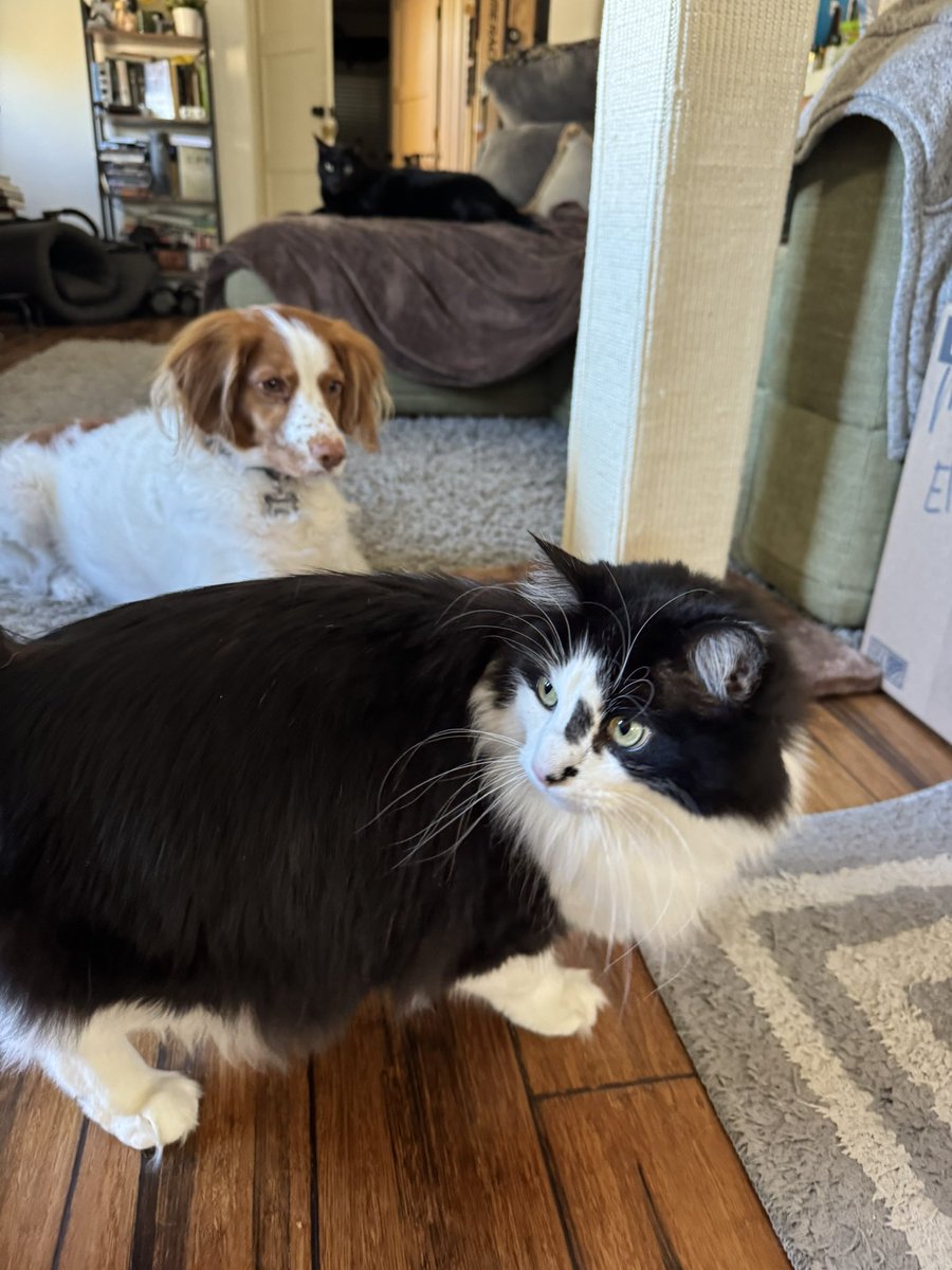 Riley 🌹 Rose tweet media