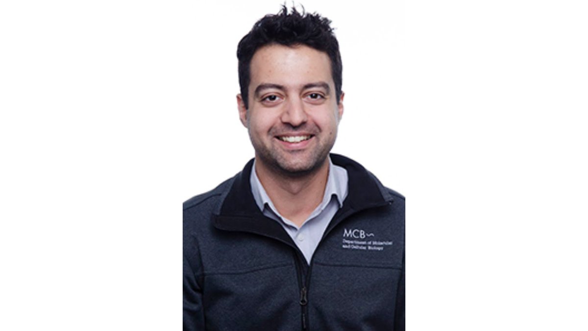 Harvard SEAS tweet media