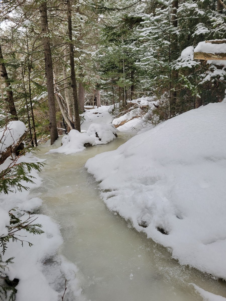 Algonquin Provincial Park tweet media