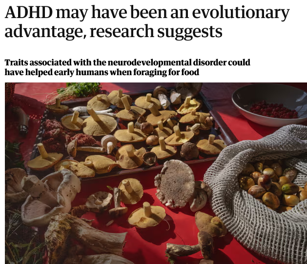 No Nonsense Neurodivergent tweet media