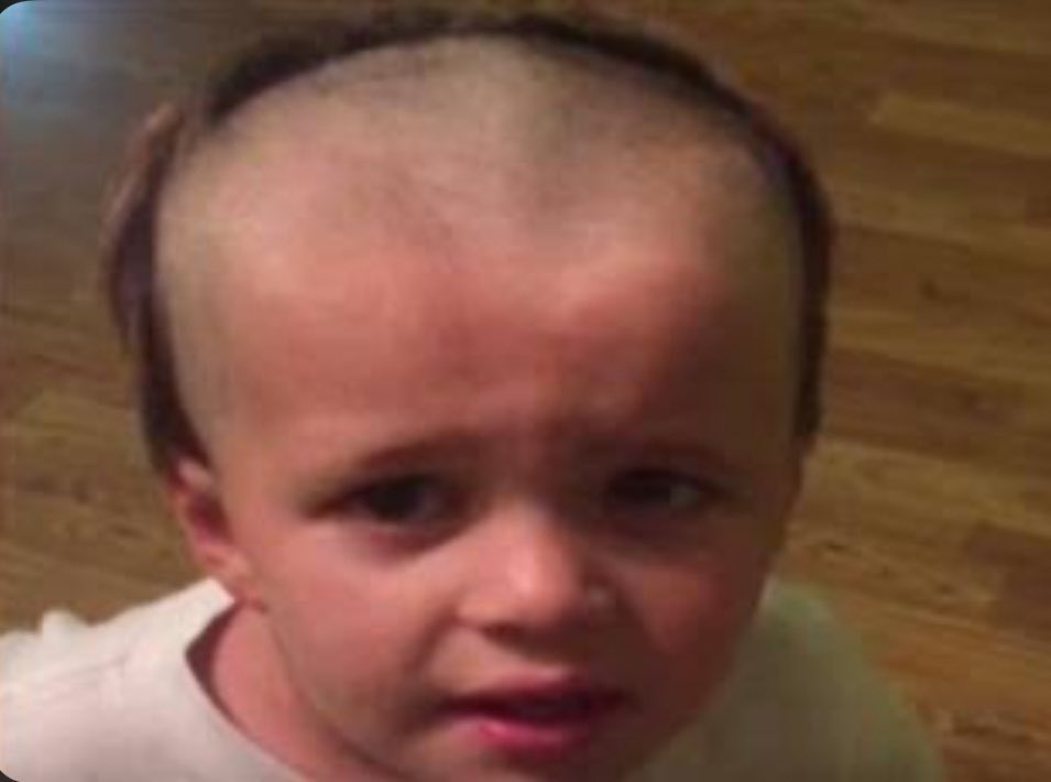 زَهَر• tweet media