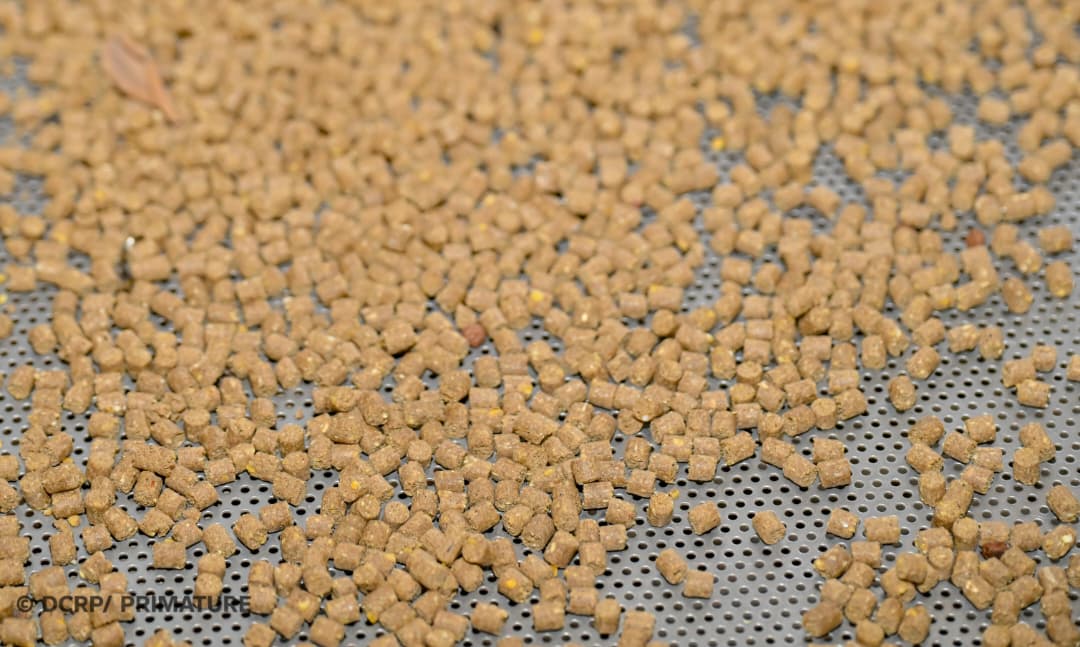 SIG Burkina Faso tweet media