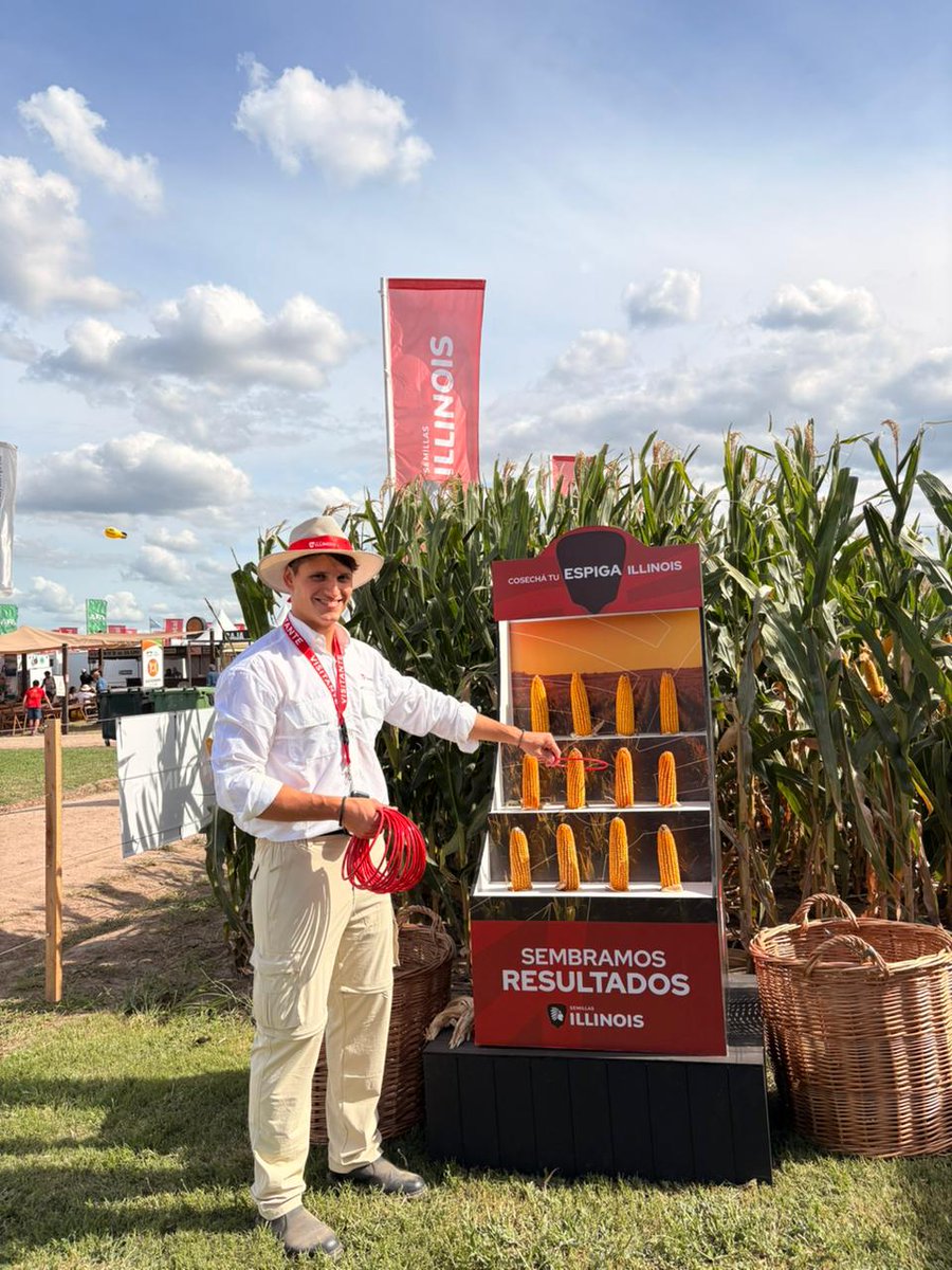Semillas ILLINOIS tweet media