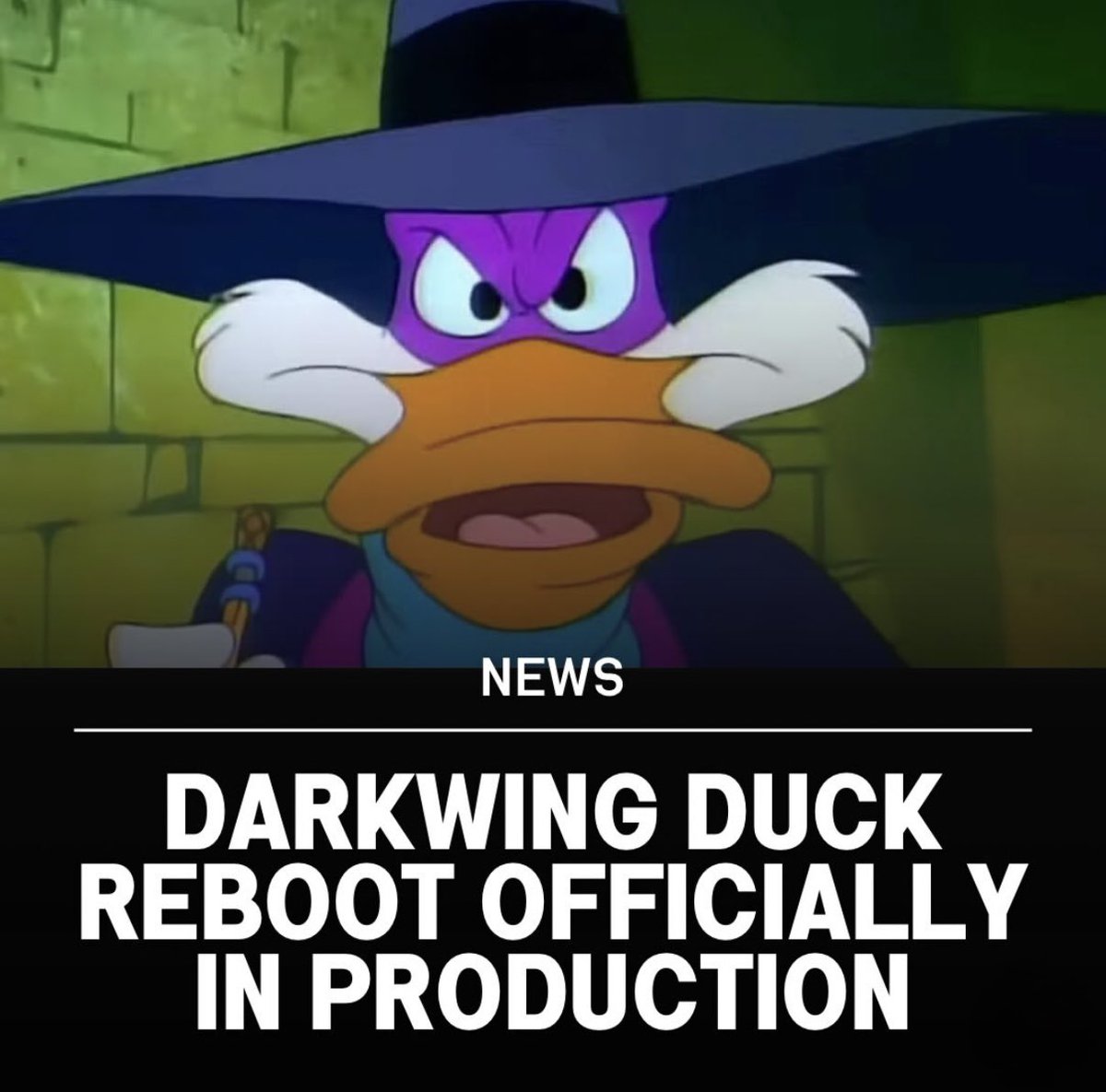 Raquelle Herbst 🧋🐈🦆 tweet media