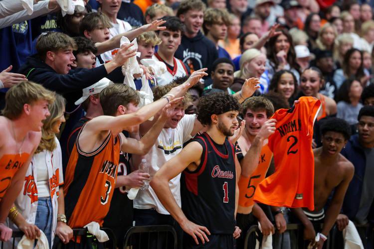 Amanda Montonati tweet media