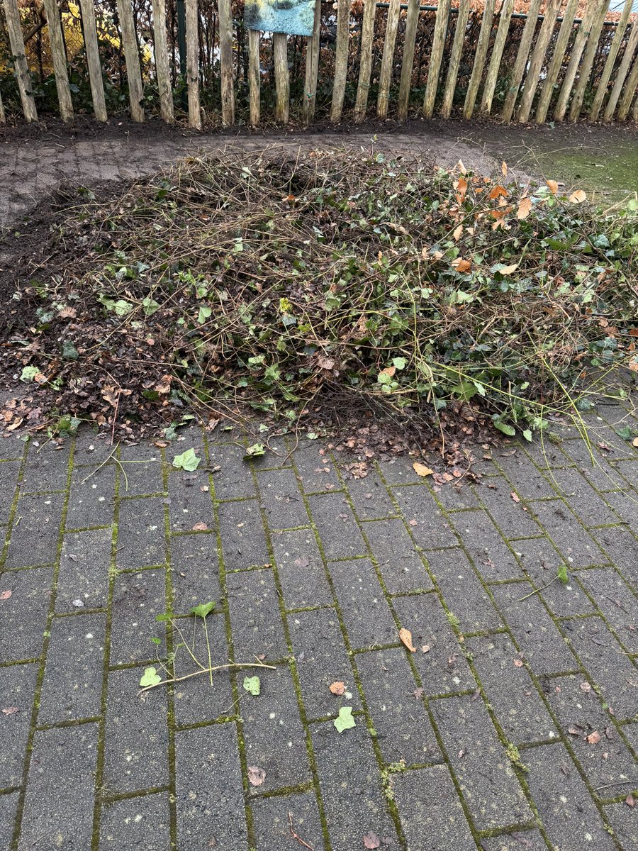 Burgemeester Röell tweet media