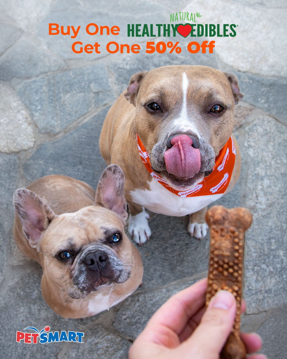 Nylabone Products tweet media
