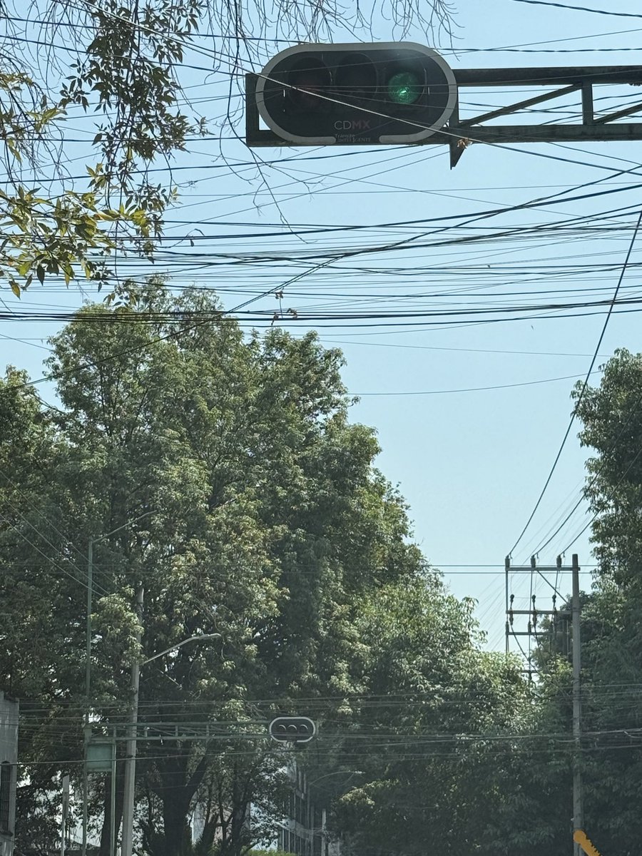 Sara Y Munoz tweet media