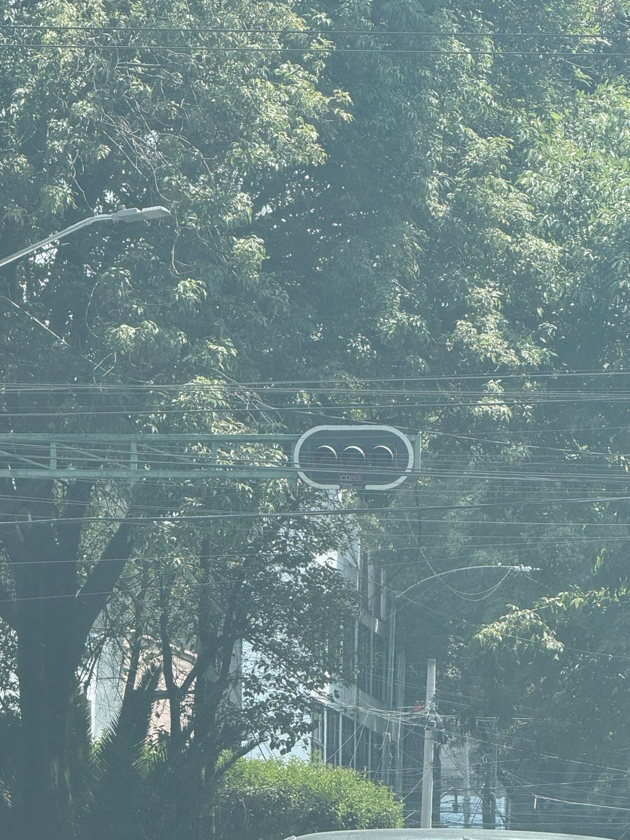 Sara Y Munoz tweet media