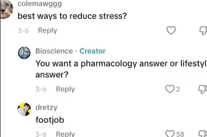 Reply Archive tweet media