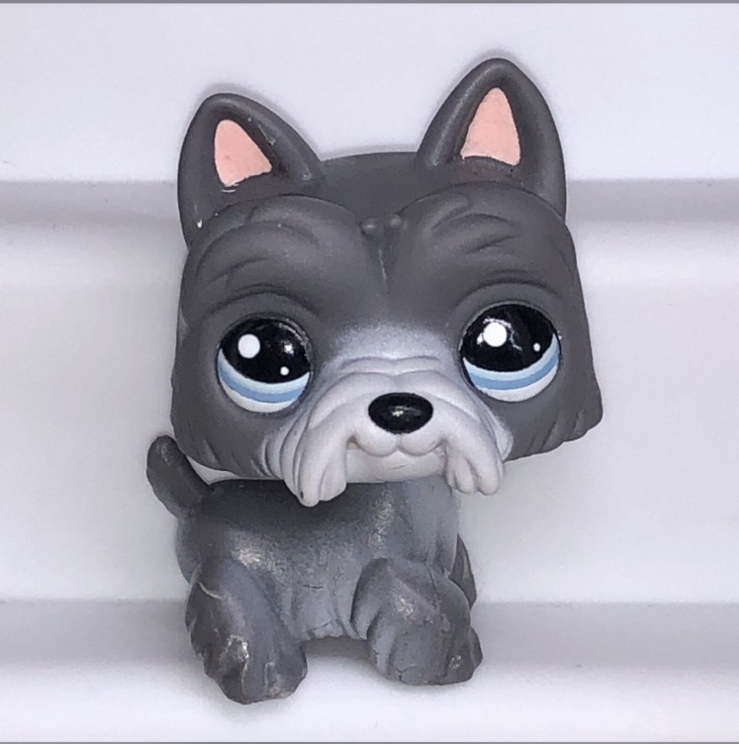 Peachy Keen 🍑💫 tweet media