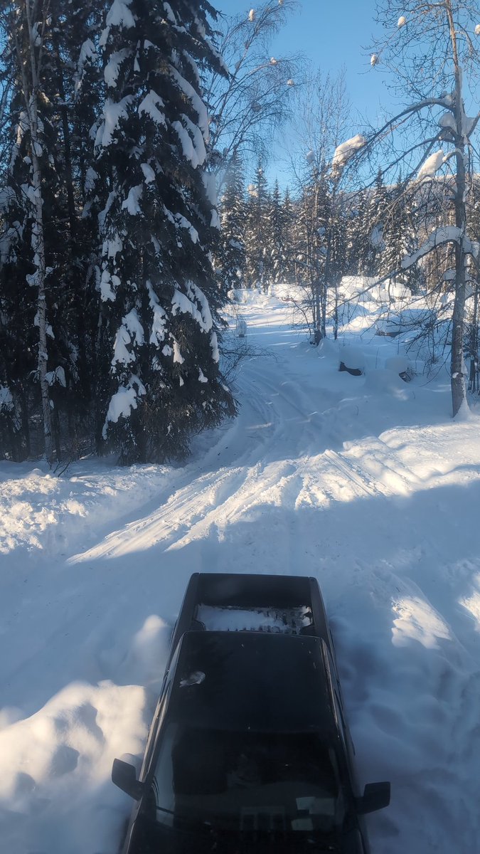 cziizi's tweet photo. @LuvEvelynClaire LOL, you say that now, but it's a looooong driveway, with an entire winter's build up. Going to have to get a loader in I think.
#YukonProblems https://t.co/1JsMexjg7S