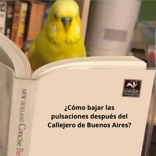 ToyotaGazooRacingARG tweet media