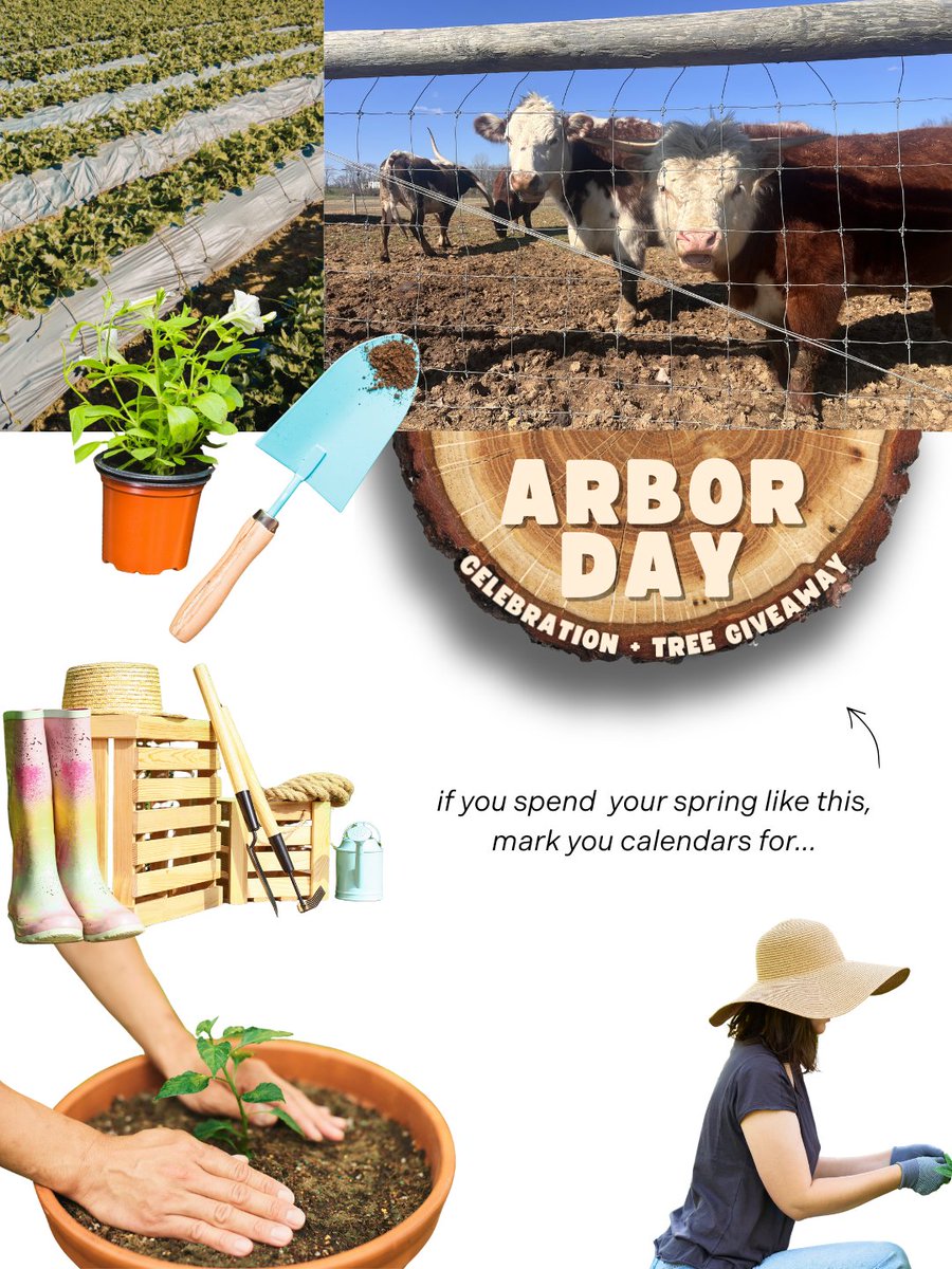 fishersparks tweet media