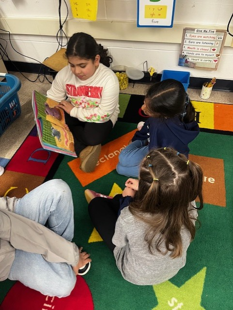 Moon Area SD tweet media