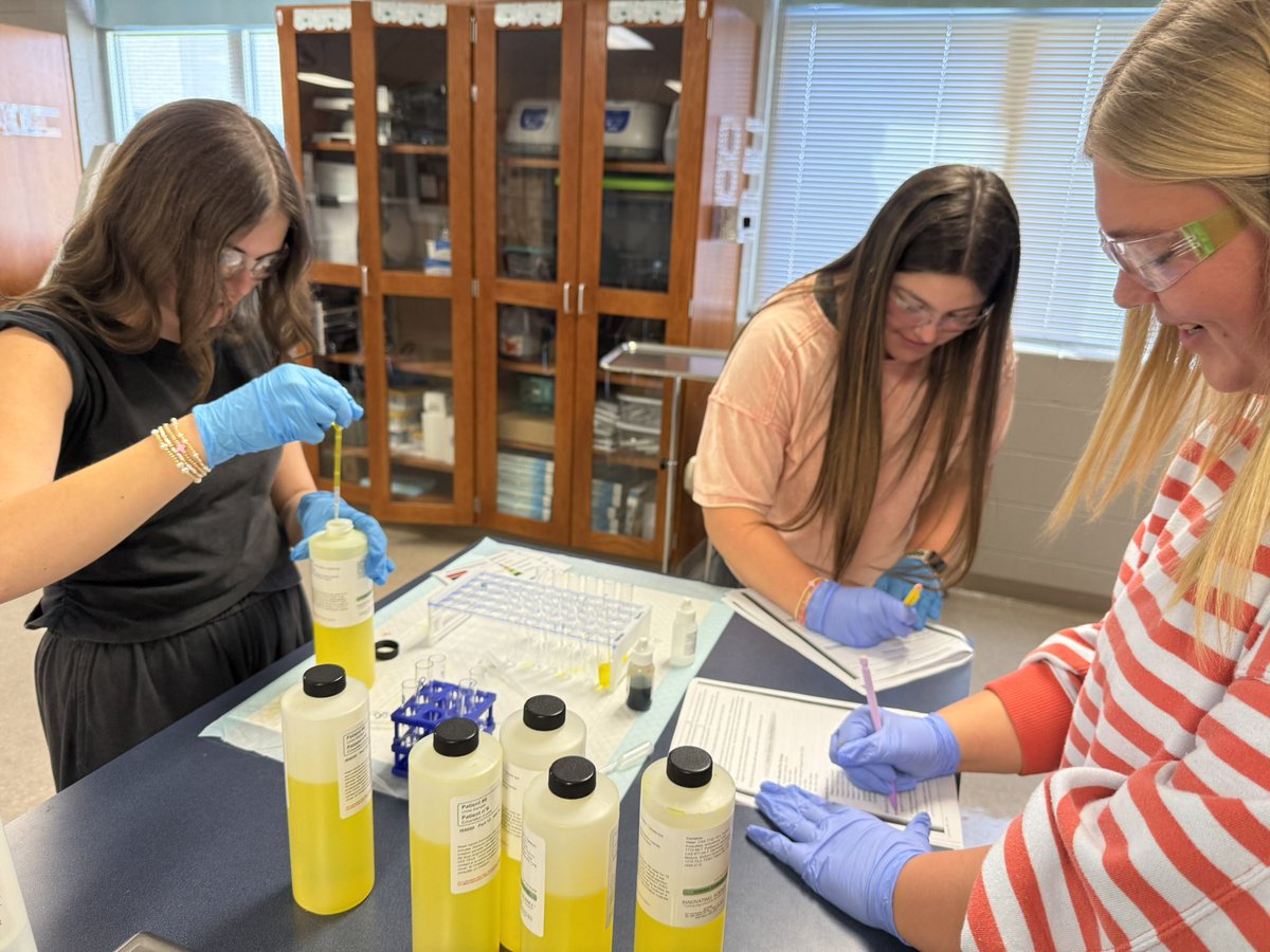 Rachel Deml tweet media