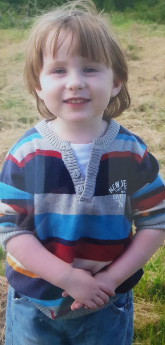 Evening Star tweet media