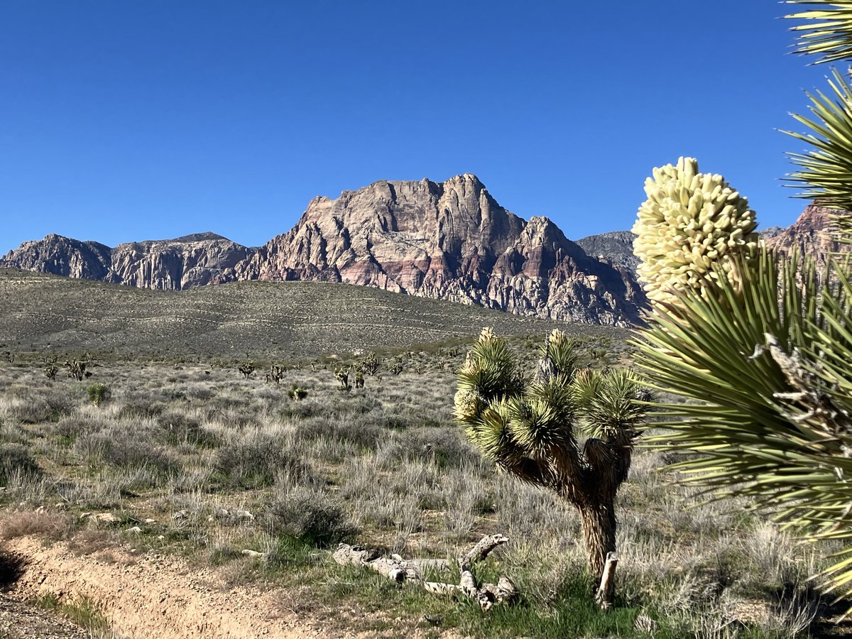 Films From Beyond tweet media