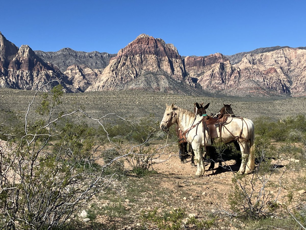 Films From Beyond tweet media