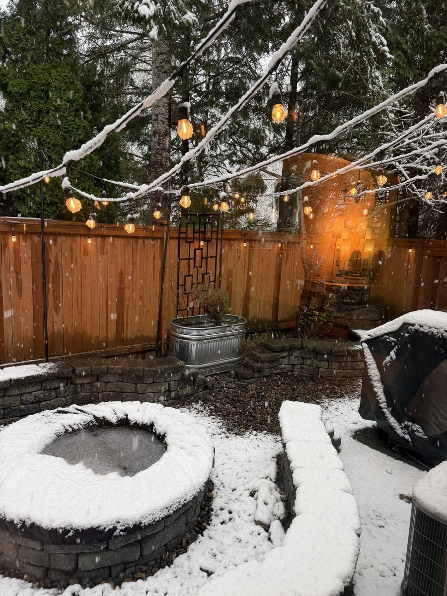 Alexandre tweet media