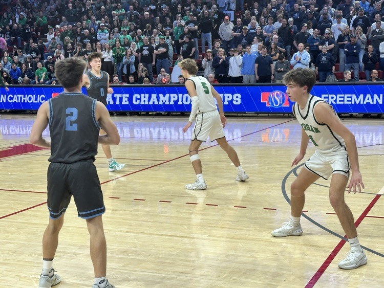 ๐
๐ซ๐๐๐ฆ๐๐ง ๐
๐๐ฅ๐๐จ๐ง๐ฌ tweet media