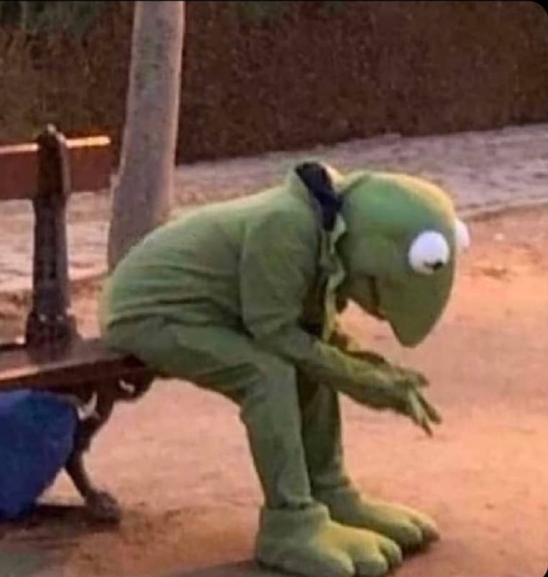 White Queen 🦣 tweet media