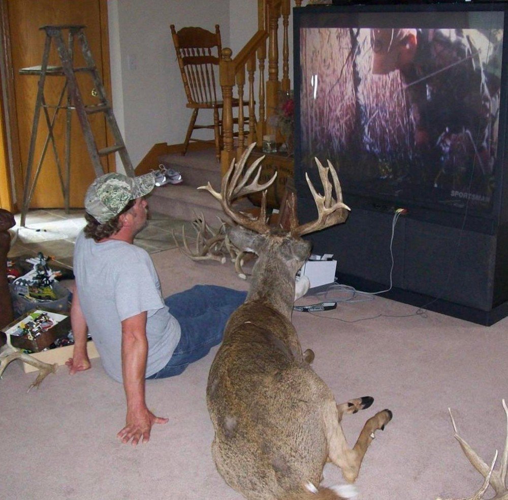 Giant Male Boar(C0MMS.OPEN👀☝️) tweet media