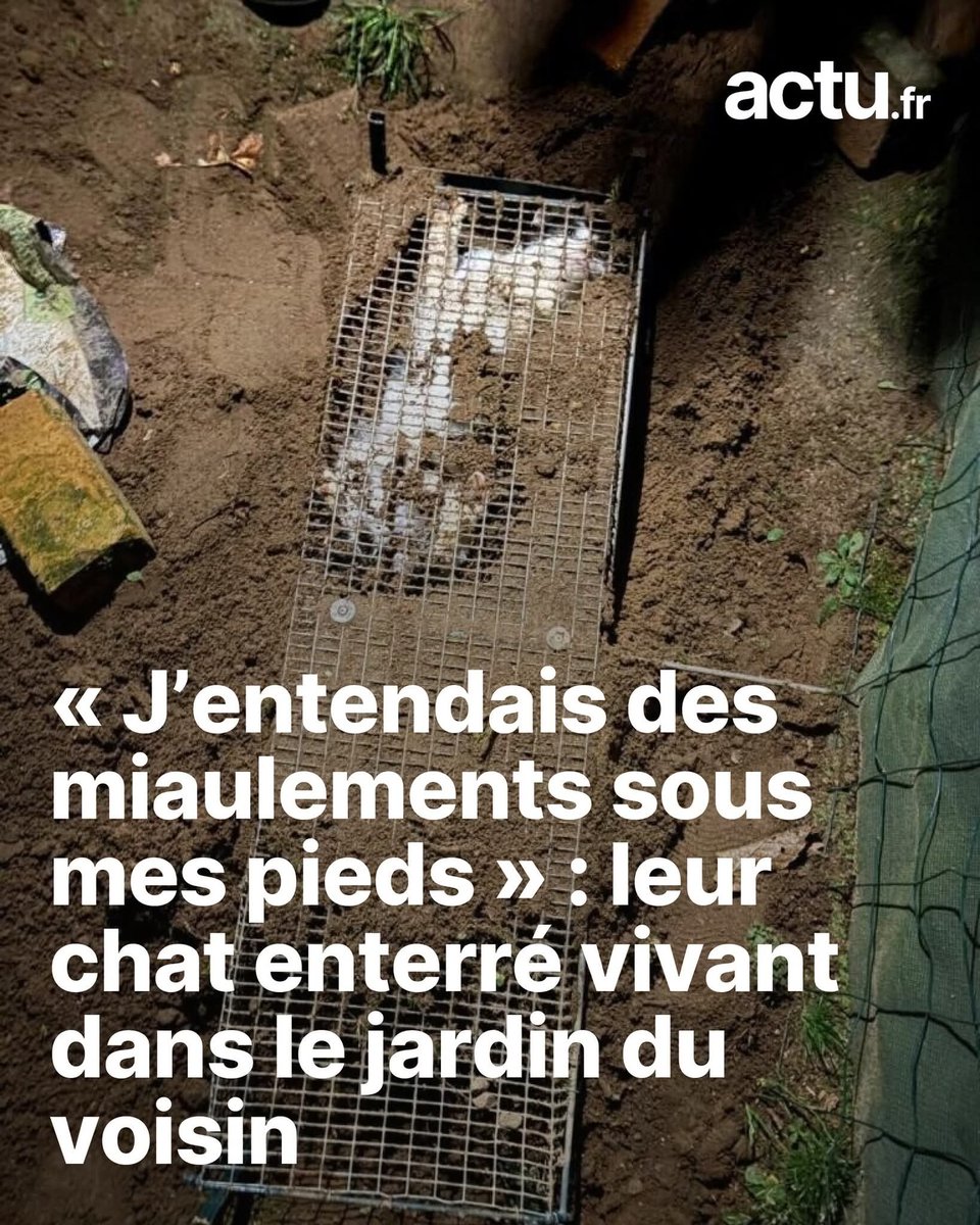 Ⓜ️HANNAH 🇫🇷 Sioniste 🇮🇱FRANCO ISRAÉLIENNE tweet media