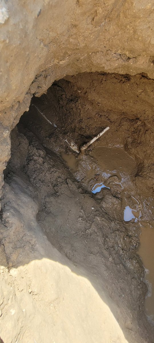 Ivan Escalante tweet media