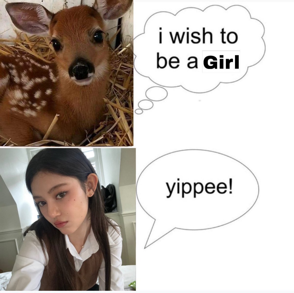 🦋 (@njzfaerie) on Twitter photo 