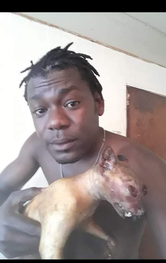 Pato Bonato tweet media