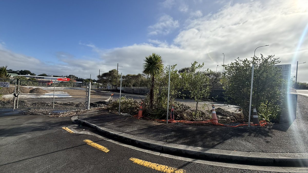 NZ Transit Buzz tweet media