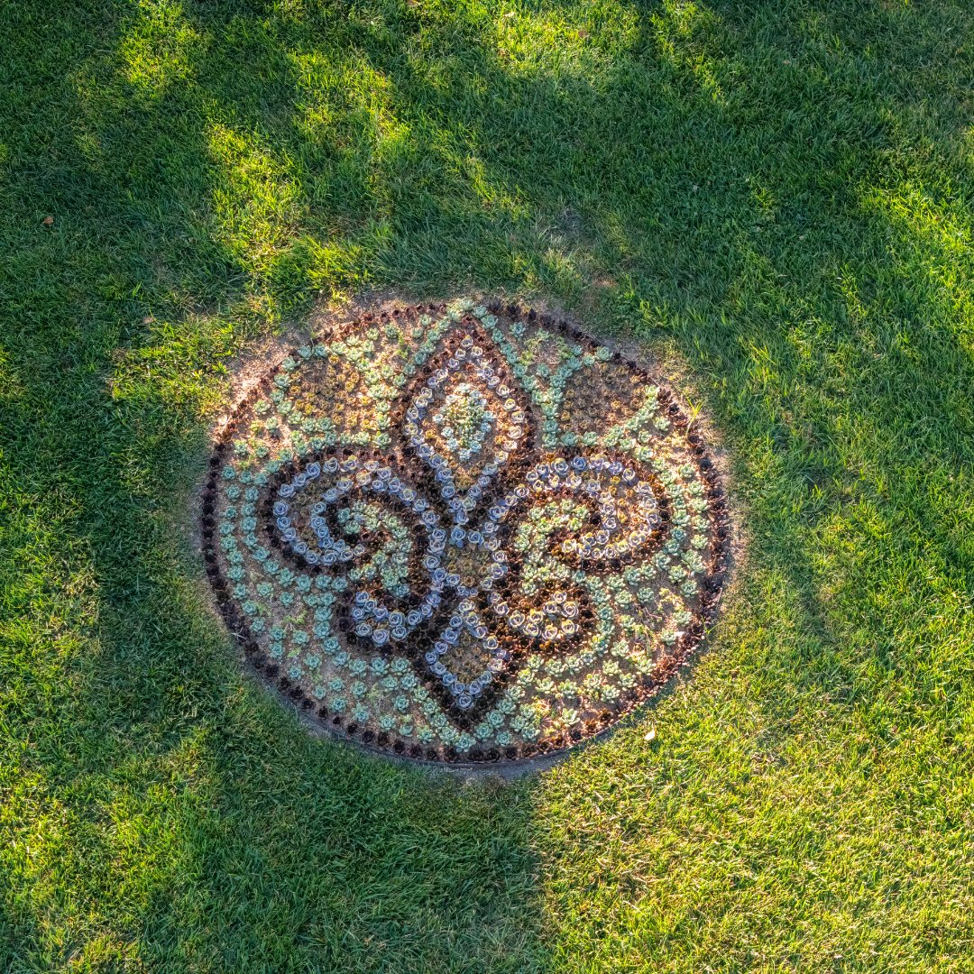 MO Botanical Garden tweet media