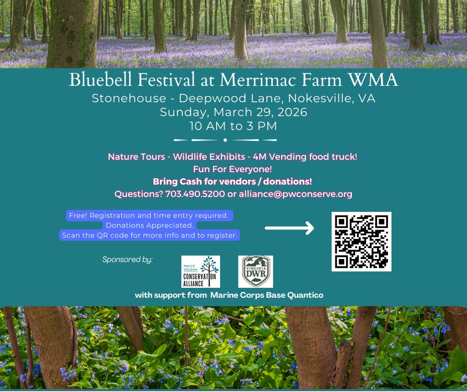The Bluebell Festival is in a couple of weeks.

To register: pwconserve.org/bluebellfestiv…