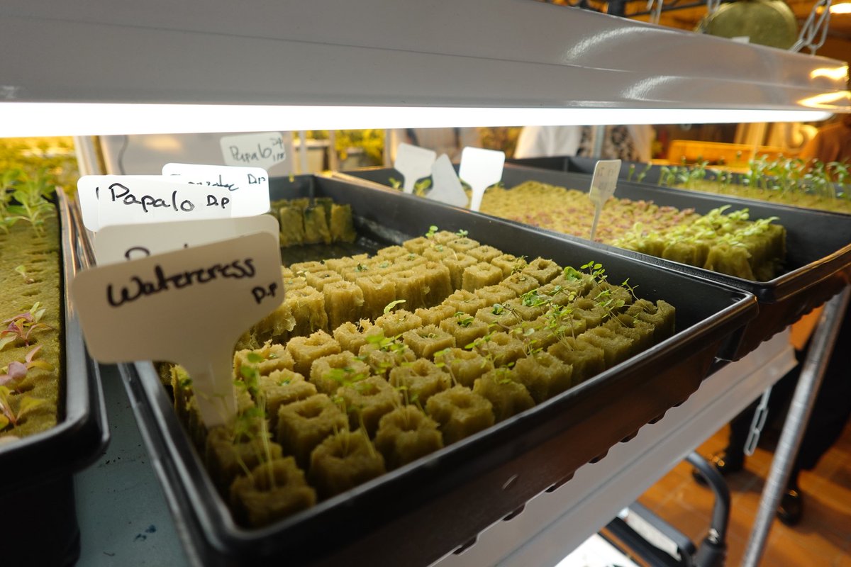 NYC Mayor's Office of Food Policy tweet media