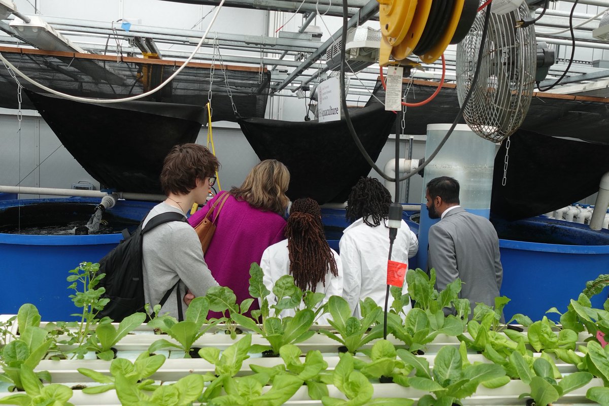 NYC Mayor's Office of Food Policy tweet media