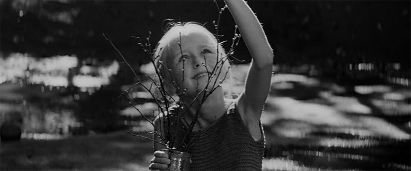 AlexeiPaire's tweet photo. Le nouveau plus grand film de l'histoire dans mon cœur : https://t.co/rdPGKPRoFq