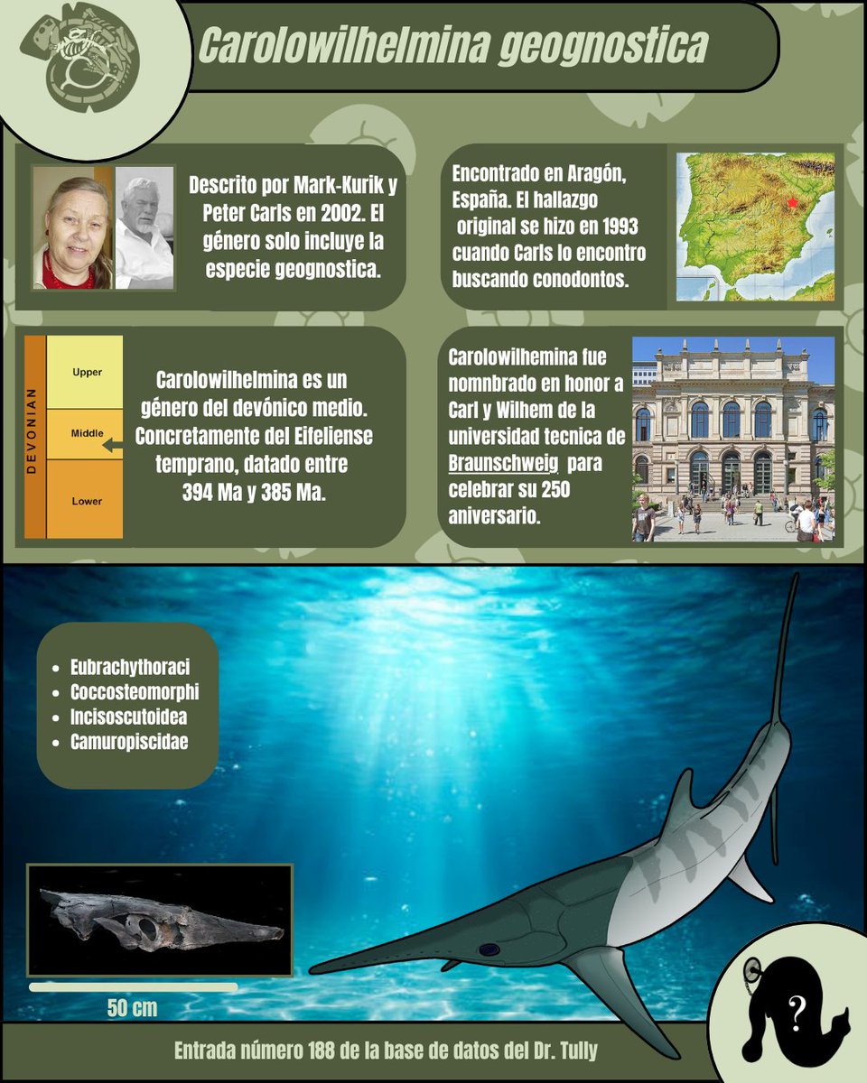 Evoguesser tweet media