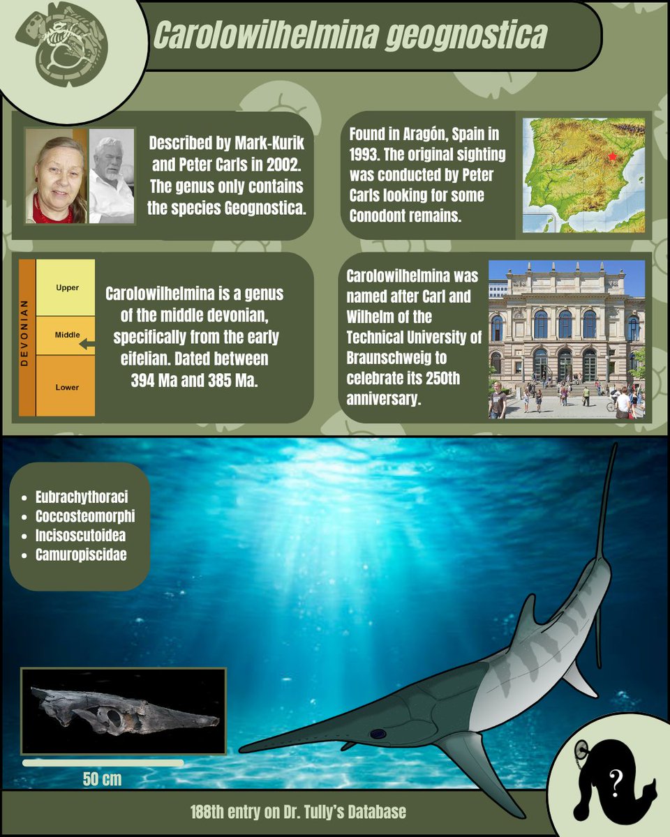 Evoguesser tweet media