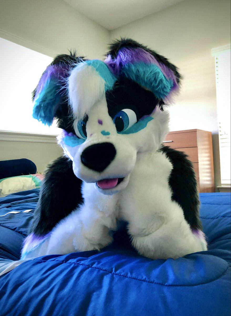 #FursuitFriday It’s Friday the 13th! 

Whacha dooooiin? 😃💙💜