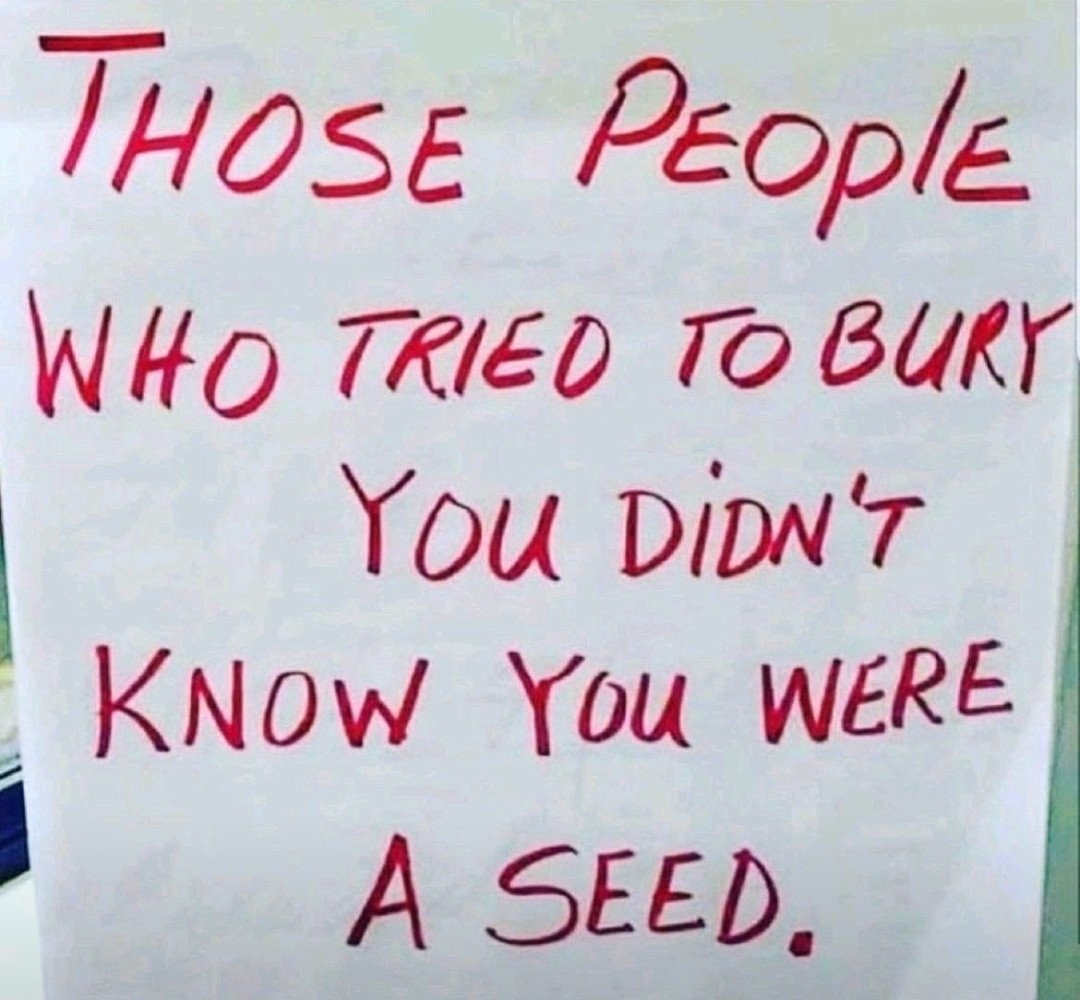 Brad Weinstein tweet media