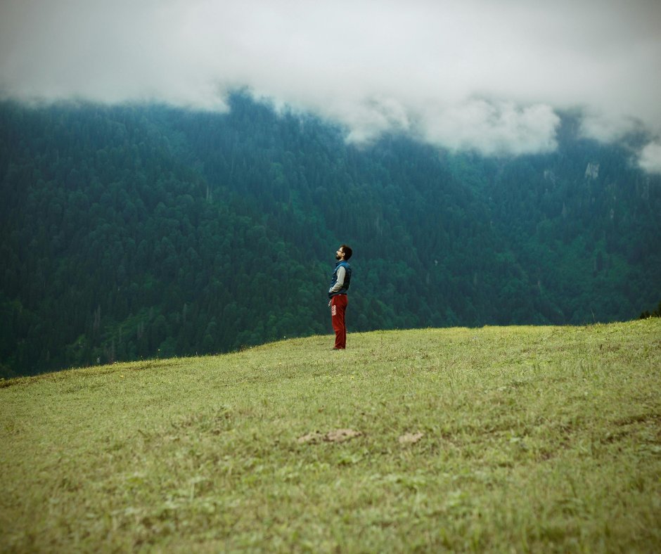 Neale Donald Walsch tweet media