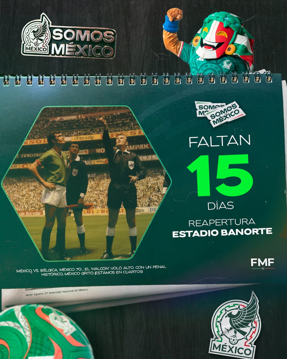 Federación Mexicana de Futbol tweet media