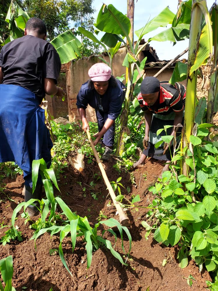 veterinaire_rw's tweet photo. we planted mango trees for 3 smallholder farmers for fighting against  malnutrition  problems in the society!

A farmer must do what possible  to make the neighbor  feel happy! https://t.co/2MNR5PdCPy