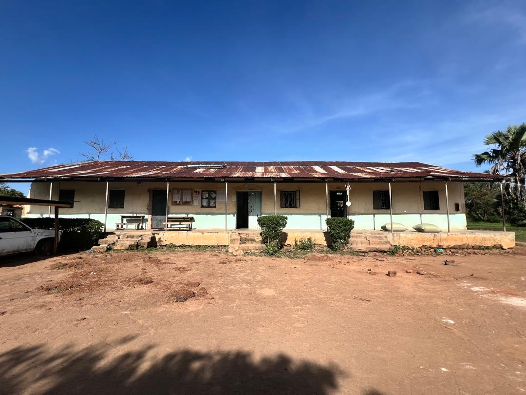 Bunae Bright tweet media